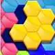 Block Hexa Puzzle